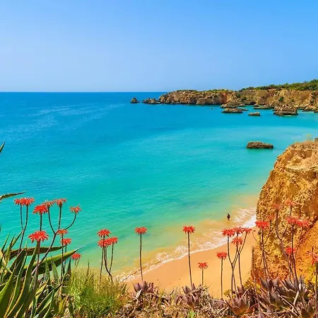 El Mar - Fantastic Frontline With Hot-tub And Private Pool *